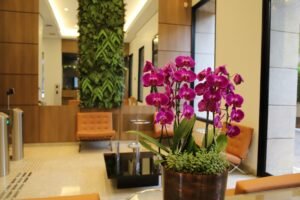 WhatsApp Image 2025-10-22 at 17.55.52