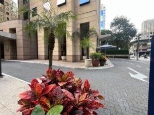 WhatsApp Image 2025-10-22 at 17.56.29 (3)