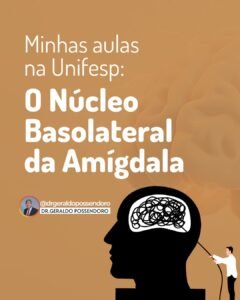 Leia mais sobre o artigo O Núcleo Basolateral da Amígdala