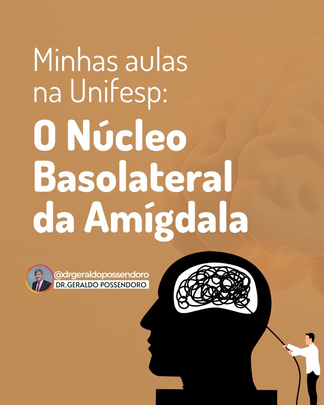 Leia mais sobre o artigo O Núcleo Basolateral da Amígdala