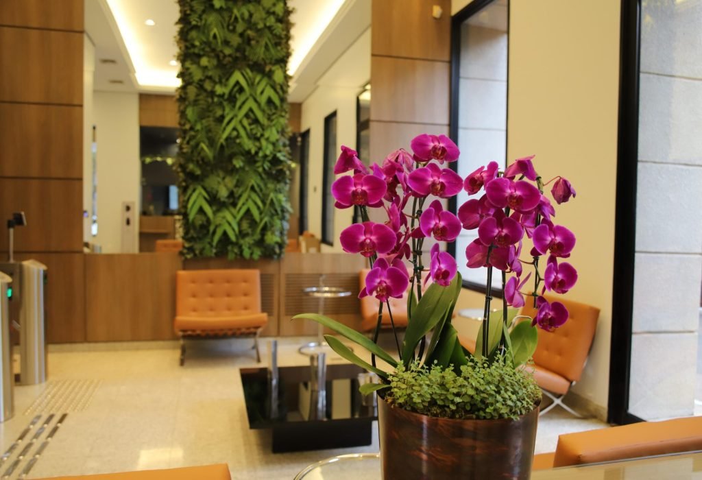 WhatsApp Image 2025-10-22 at 17.55.52