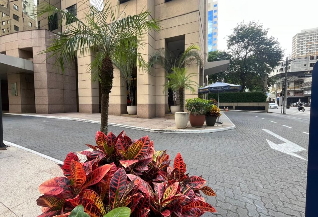 WhatsApp Image 2025-10-22 at 17.56.29 (3)